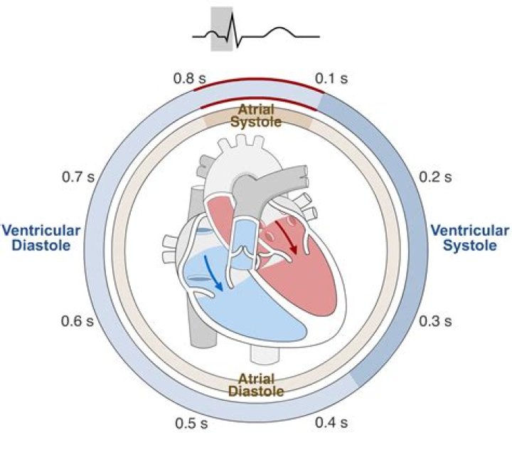 What is meant by ASTM standards?
