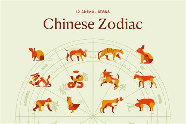 What is my Chinese zodiac elements?