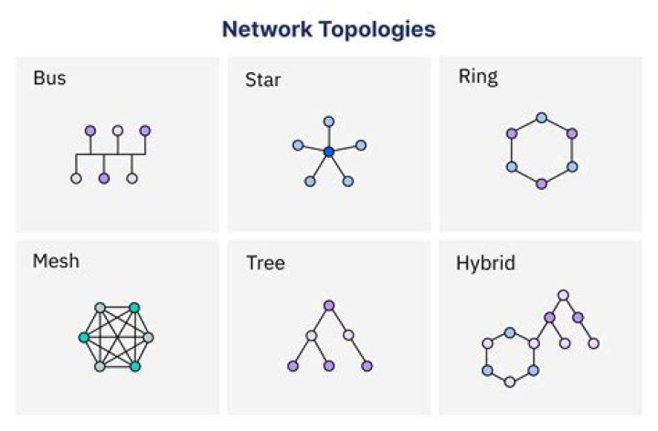 What is network and its topologies?