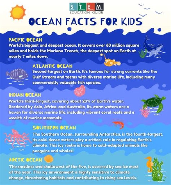 What is ocean basin in oceanography?