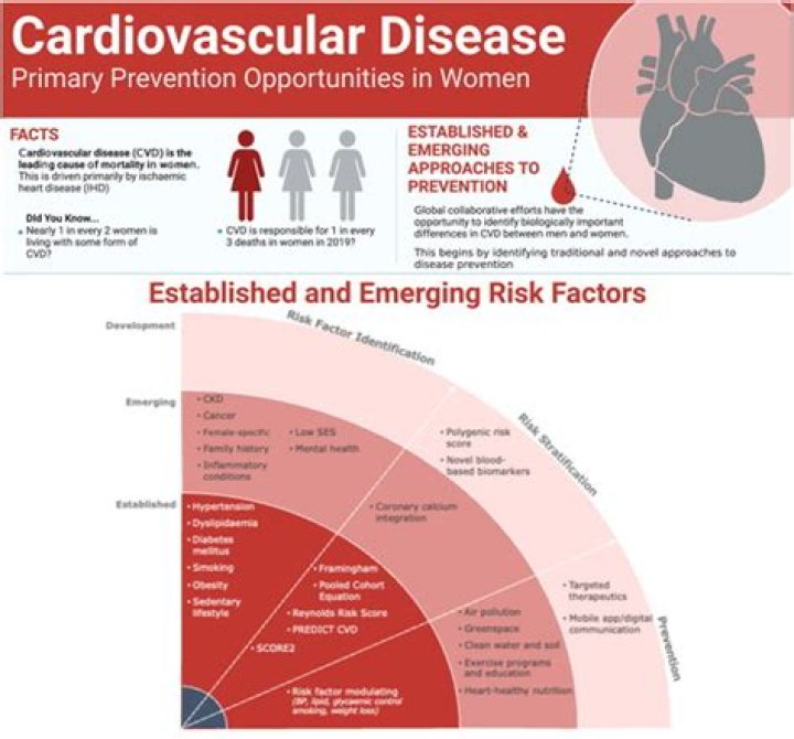 What is primary and secondary prevention of cardiovascular disease