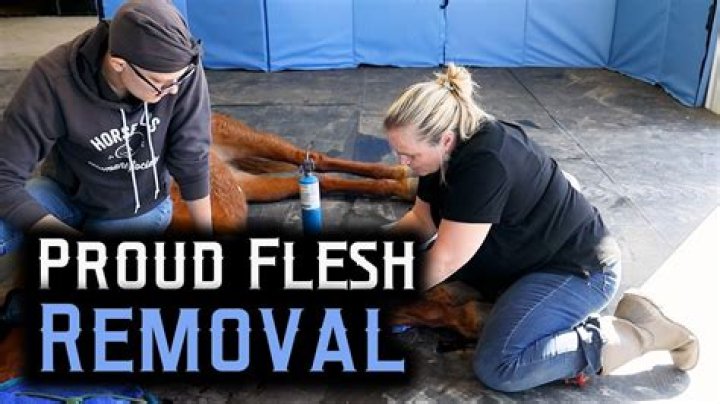 What is proud flesh in humans