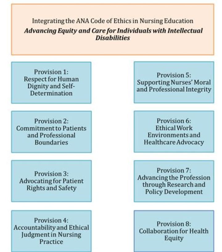 What is provision 2 2.4 of the ANA nursing code of ethics