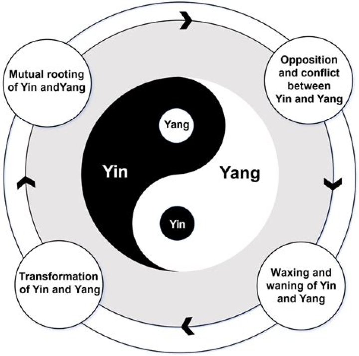 What is qi in yin and yang?