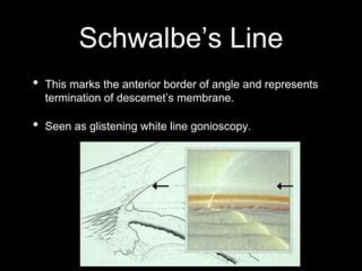 What is Schwalbes line