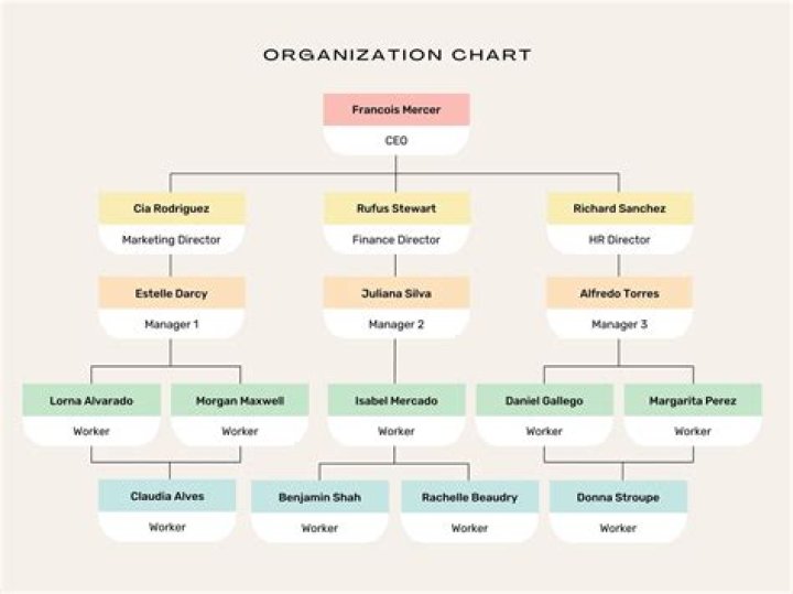 What is simple organization? | ContextResponse.com