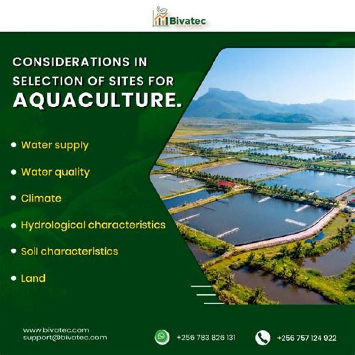 What is site selection in agriculture?