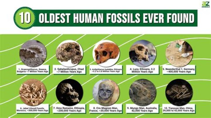 What is so significant about the fossil finds at Dmanisi Georgia