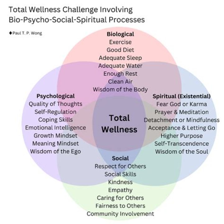 What is spirituality in an organization