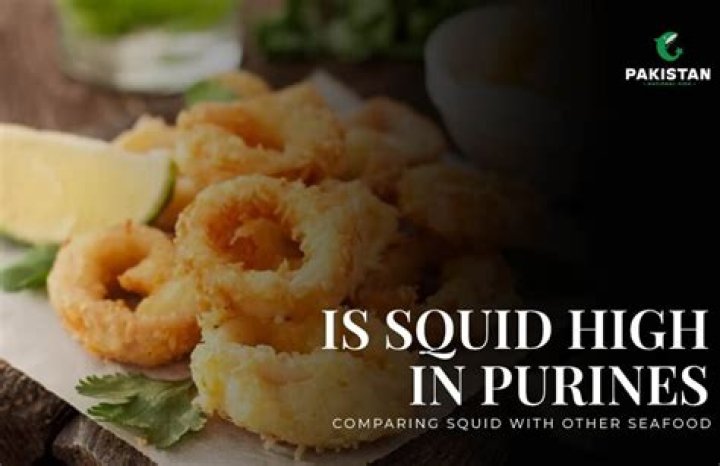What is squid high? | ContextResponse.com