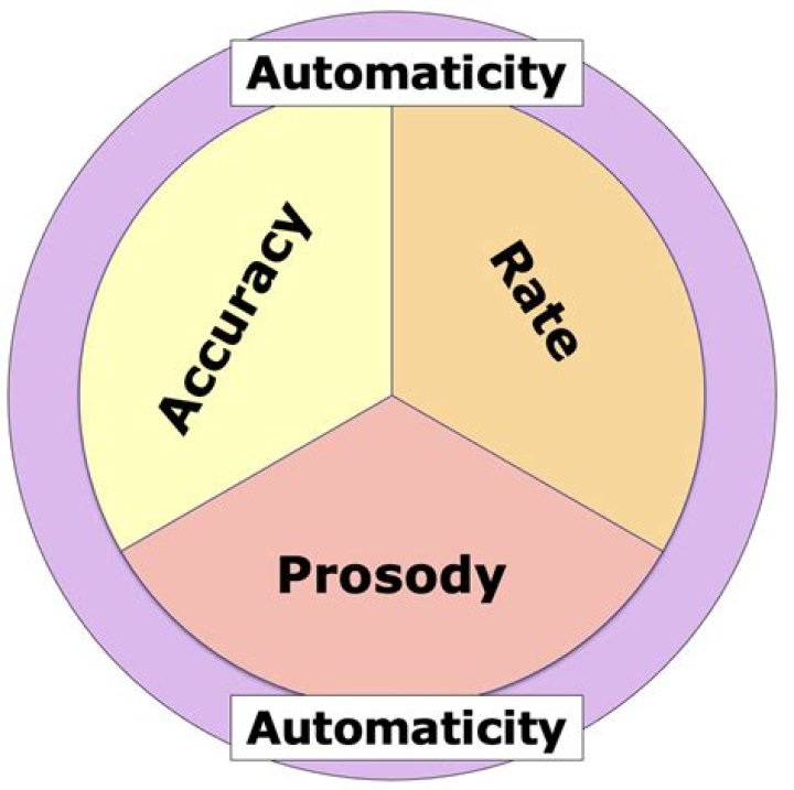 What is the automaticity theory
