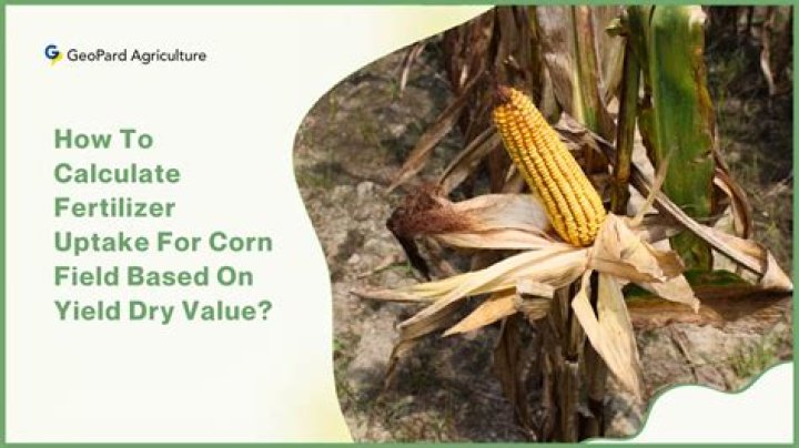 What is the average yield per acre for corn?