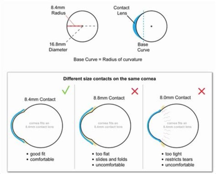 What is the base curve on contact lenses?