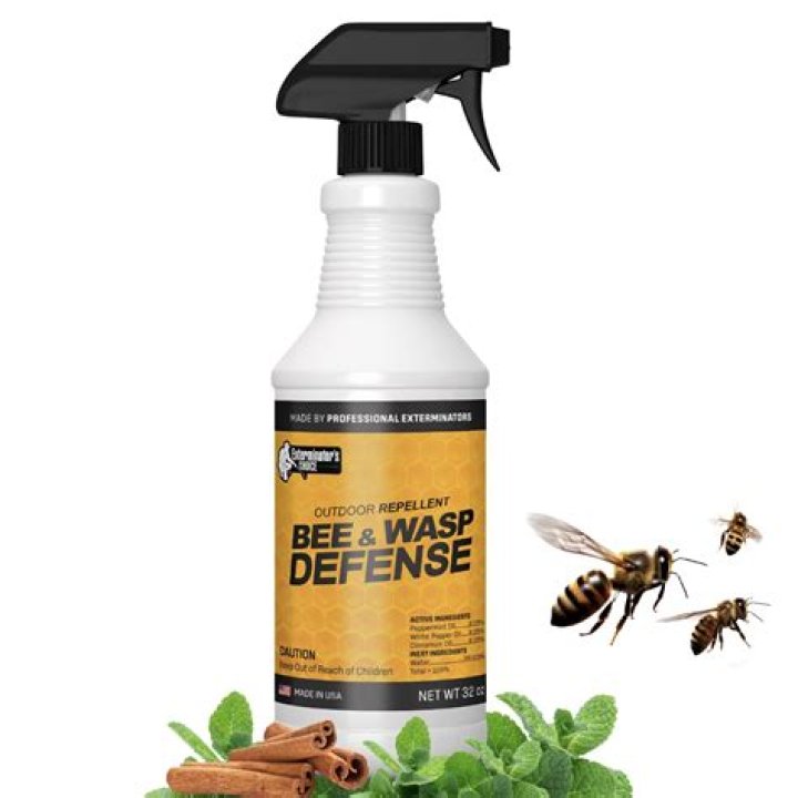 What is the best product to kill bees
