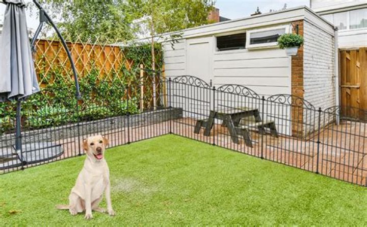 What is the best type of fencing for dogs