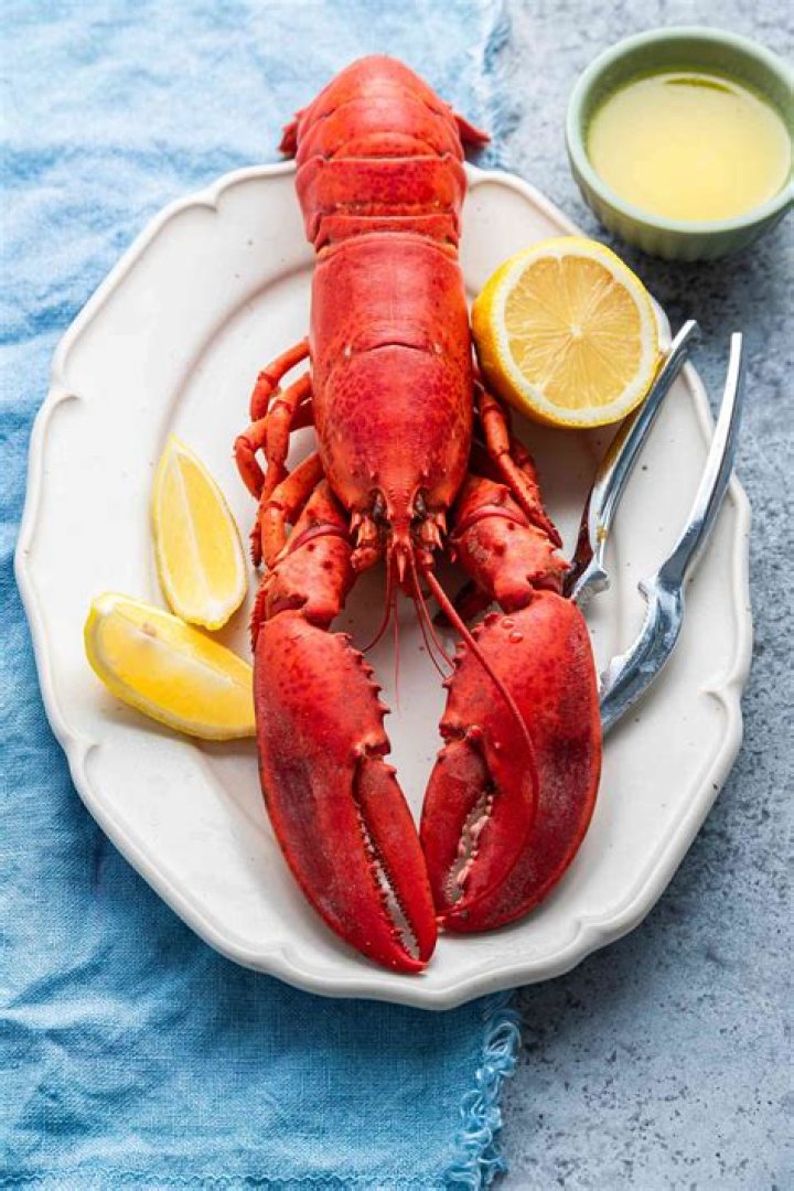 What is the best type of lobster to eat?