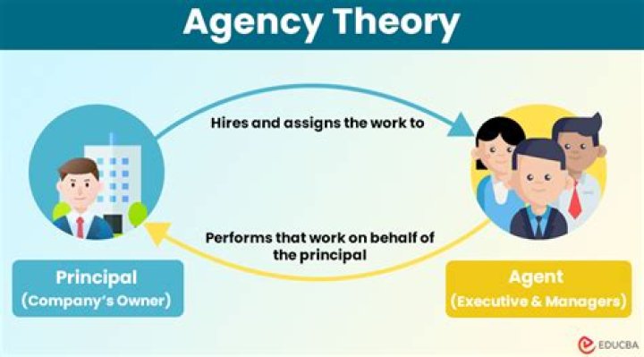 What is the concept of agency theory