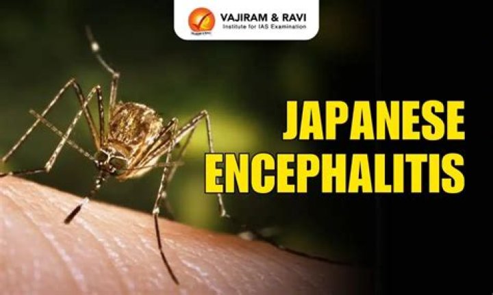 What is the cost of Japanese encephalitis?