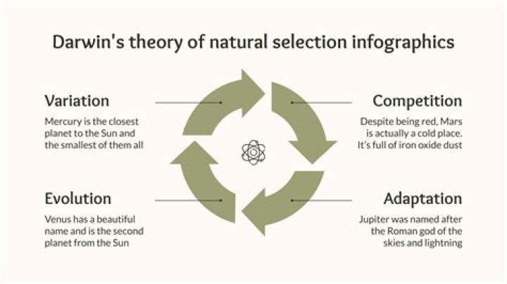 What is the Darwin Wallace theory of evolution