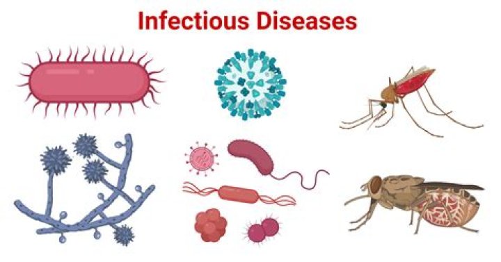 What is the definition of a non infectious disease?