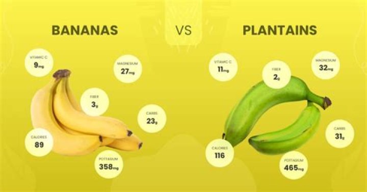 What is the difference between a banana and a plantain?