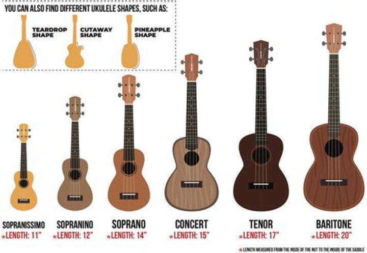 What is the difference between a concert and tenor ukulele?