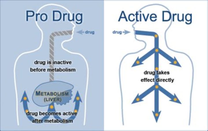 What is the difference between drug and prodrug?