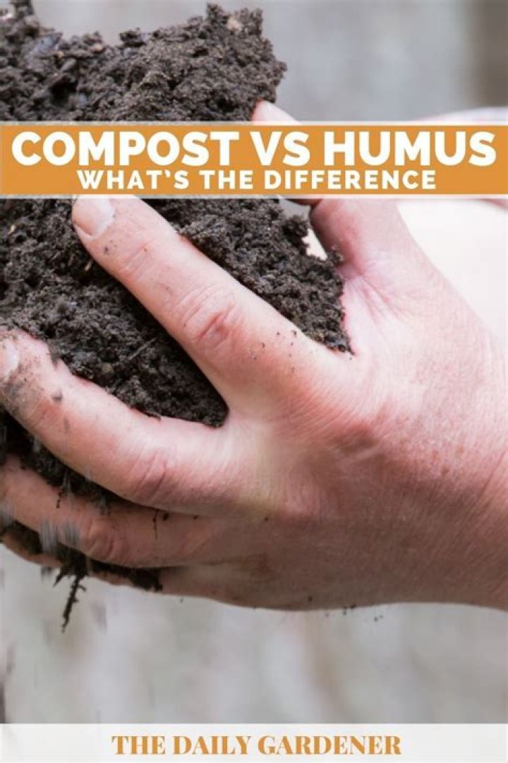 What is the difference between humus and compost