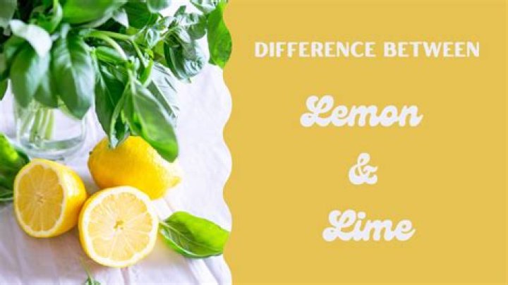What is the difference between lemon rind and lemon zest