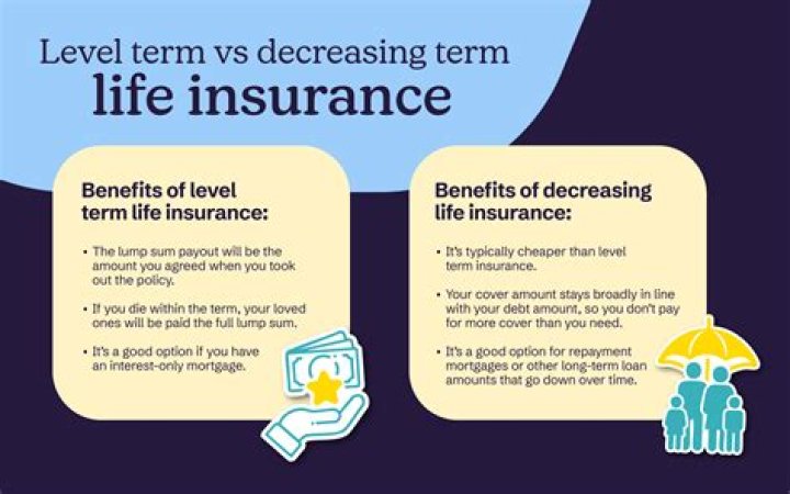 What is the difference between level term and decreasing term life insurance