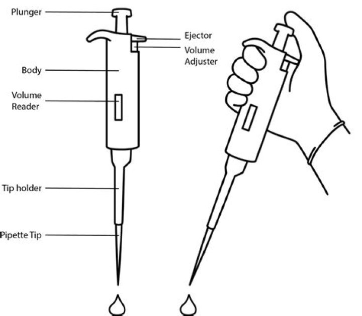 What is the dilution in RBC pipette and why