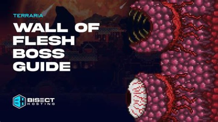 What is the easiest way to defeat the wall of flesh?