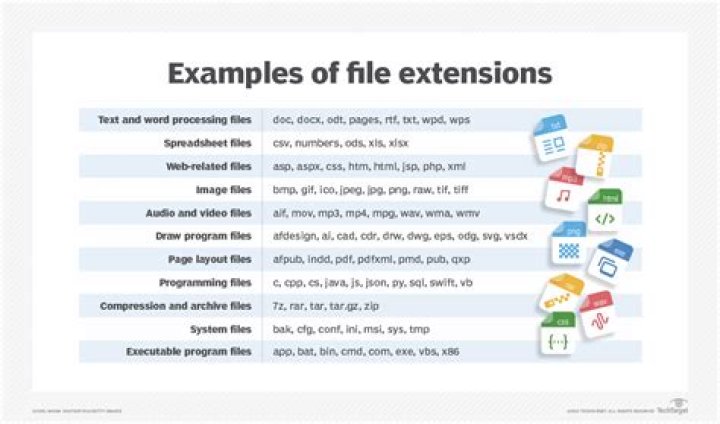 What is the file type that Google Chrome extensions use?