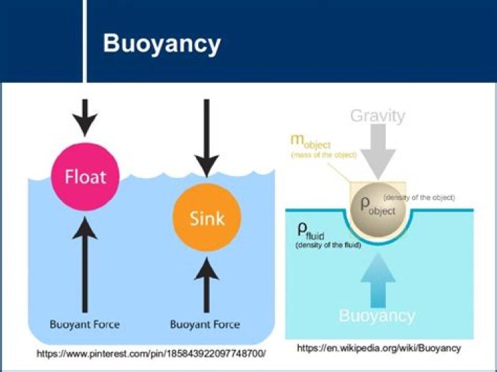 What is the force of buoyancy?