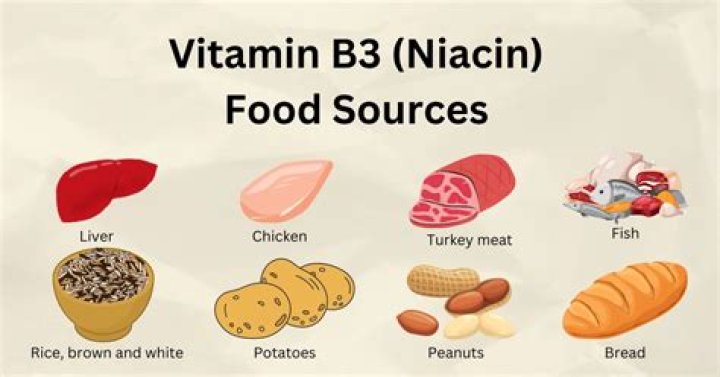What is the function of vitamin b3?