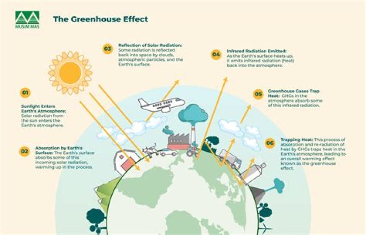 What is the greenhouse effect physics