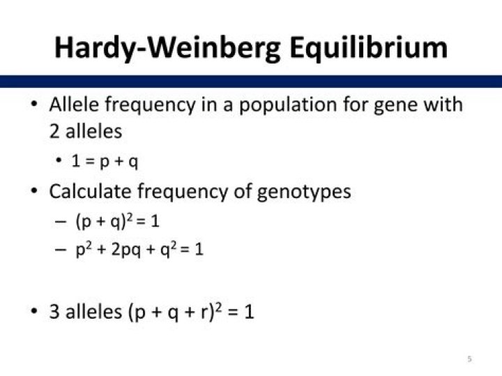 What is the Hardy Weinberg symbol for the frequency of the dominant allele