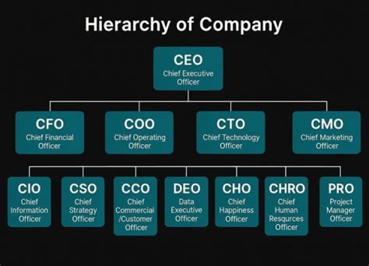 What is the hierarchy of a company?