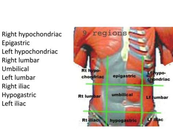 What is the hypochondriac region
