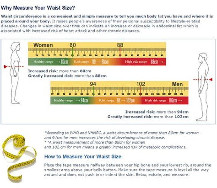 What is the ideal waist size for my height?