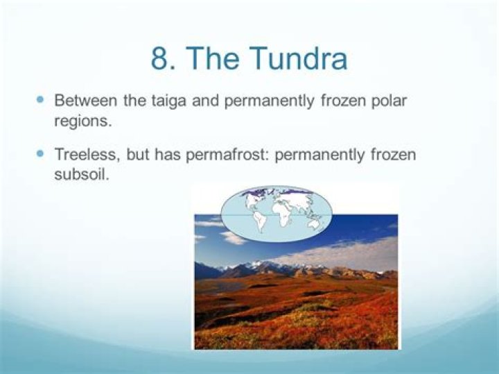 What is the layer of permanently frozen subsoil in the tundra called?