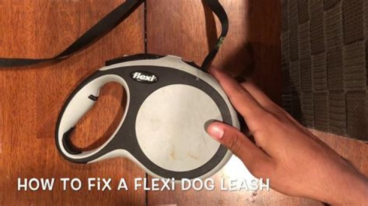 What is the longest Flexi lead