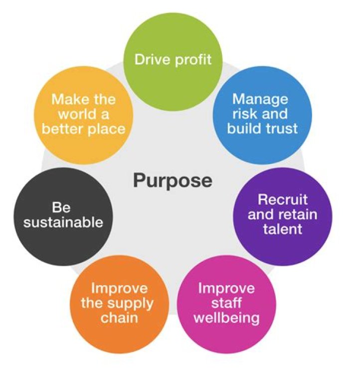 What is the main purpose of PACs?