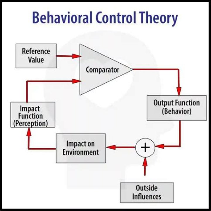 What is the main theoretical premise of control theory