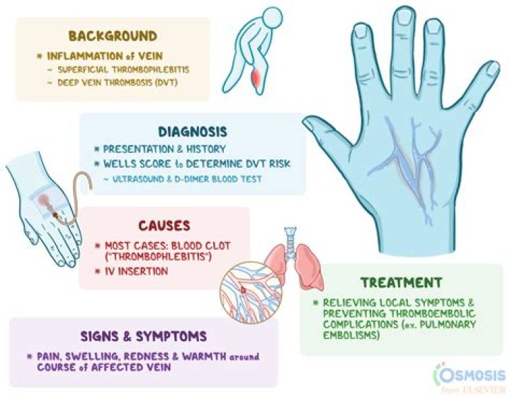 What is the meaning of Angiitis?