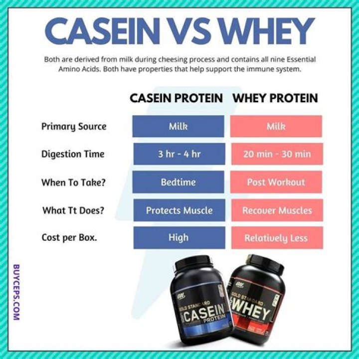 What is the meaning of casein protein