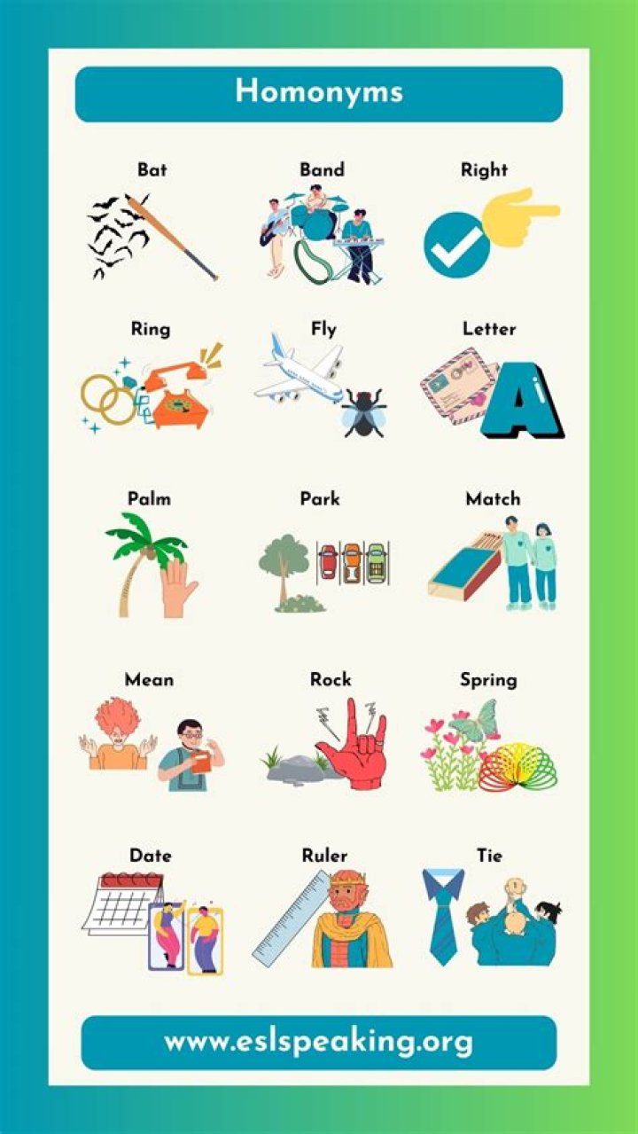 What is the meaning of homonyms and examples?
