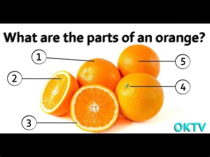 What is the meat of an orange called?