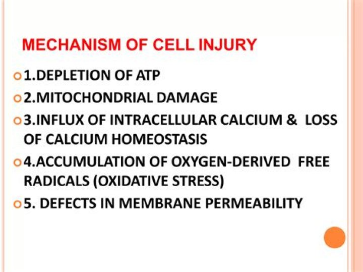What is the mechanism of cell injury?