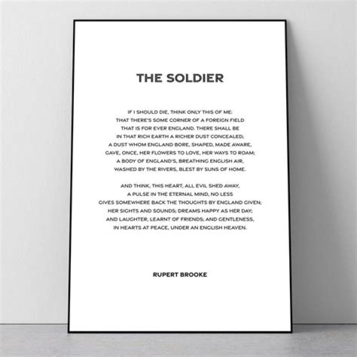 What is the message of the poem The Soldier?